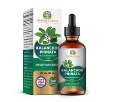Suplemento de ervas Sioditin Kalanchoe Pinnata Glicerite 60mL Suplemento de ervas Sioditin Kalanchoe Pinnata Glicerite 60mL