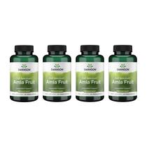 Suplemento de ervas Swanson Amla Fruit 500 mg 120 cápsulas, pacote com 4