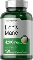 Suplemento de extrato de cogumelo Horbäach Lions Mane 4200 mg 120 cápsulas