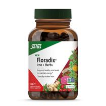 Suplemento de ferro Floradix Iron + Herbs 120 Liquid Phyto-Caps