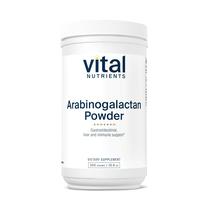 Suplemento de nutrientes vitais Arabinogalactan em pó 300g Suplemento de nutrientes vitais Arabinogalactan em pó 300g
