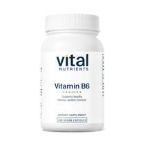 Suplemento de nutrientes vitais, vitamina B6, 100 mg, 100 cápsulas