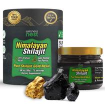 Suplemento de resina Wellness Nest Shilajit 30g com ouro 24k Suplemento de resina Wellness Nest Shilajit 30g com ouro 24k