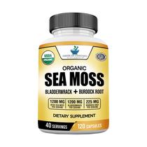 Suplemento de Sea Moss American Standard - 120 Cápsulas