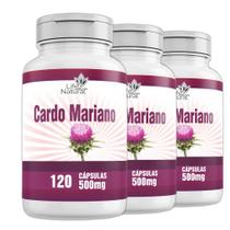 Suplemento De Silimarina ou Cardo Mariano 120 capsulas pura 100% Original Suplemento De Silimarina ou Cardo Mariano 120 capsulas pura 100% Original