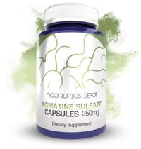 Suplemento de sulfato de agmatina Nootropics Depot 250 mg 120 cápsulas