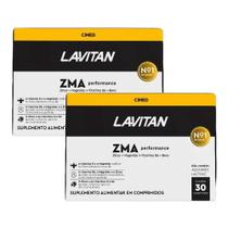 Suplemento de ZMA Testo Performance Zinco Magnésio Vitamina D B6 c/60 Lavitan