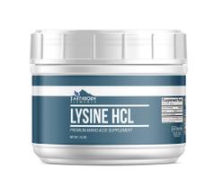 Suplemento dietético Earthborn Elements Lysine HCL Powder 680g Suplemento dietético Earthborn Elements Lysine HCL Powder 680g