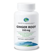 Suplemento Earth's Splendor Ginger Root 550 mg 100 cápsulas