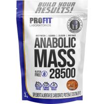 Suplemento em pó Anabolic Mass 28500 3kg D. Leite - ProFit - Profit Labs