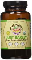 Suplemento em pó orgânico Pure Planet Just Barley 80g x2 Suplemento em pó orgânico Pure Planet Just Barley 80g x2