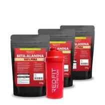 Suplemento em Pó Red Fit Nutrition 100% Puro Importado C/ Laudo Kit Beta-Alanina 250g ( 3 Unidades )