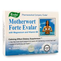 Suplemento Evalar Motherwort Forte 40 comprimidos com magnésio Suplemento Evalar Motherwort Forte 40 comprimidos com magnésio