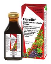 Suplemento Floradix Floravital Liquid Iron 250mL (pacote com 3)