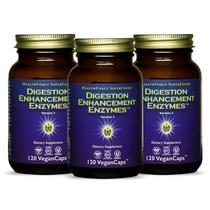 Suplemento HealthForce SuperFoods Digestion Enzymes 120 cápsulas veganas (pacote com 3) Suplemento HealthForce SuperFoods Digestion Enzymes 120 cápsulas veganas (pacote com 3)