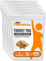 Suplemento Herbal BulkSupplements Pó de Cogumelo Cauda de Peru 5kg Suplemento Herbal BulkSupplements Pó de Cogumelo Cauda de Peru 5kg