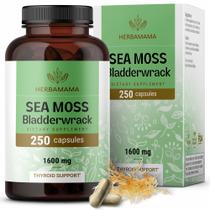 Suplemento HERBAMAMA Irish Sea Moss 1600mg com Bladderwrack Suplemento HERBAMAMA Irish Sea Moss 1600mg com Bladderwrack