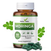 Suplemento HerbaVitals Moringa 500mg 120 cápsulas