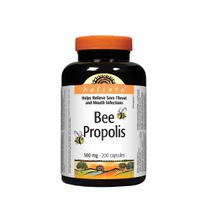 Suplemento Holista Bee Própolis 500mg 200 Cápsulas