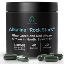 Suplemento Holistic Bin Alkaline Rock Stars Algae 500mg