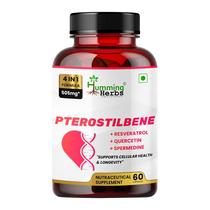 Suplemento Humming Herbs Pterostilbeno 505mg 60 Cápsulas Veganas Suplemento Humming Herbs Pterostilbeno 505mg 60 Cápsulas Veganas