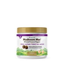 Suplemento Imunológico NaturVet Mushroom Max para Cães - 60 Cápsulas