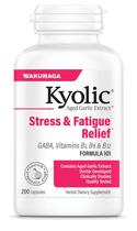 Suplemento Kyolic Aged Alho Extract Formula 101 200 cápsulas