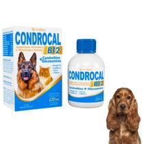 Suplemento Mineral Vitamínico Condrocal B12 120ml Liquido Para Cães e Gatos Vetbras Suplemento Mineral Vitamínico Condrocal B12 120ml Liquido Para Cães e Gatos Vetbras