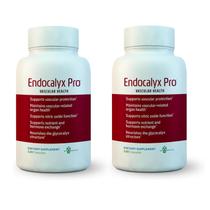 Suplemento MYBODYRX Endocalyx Pro 120 cápsulas para a saúde vascular