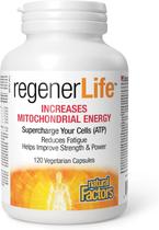 Suplemento Natural Factors REGENERLIFE 120 Cápsulas