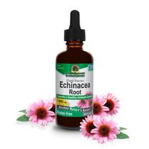 Suplemento Nature's Answer: extrato de equinácea 60mL