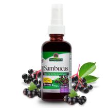 Suplemento Nature's Answer Sambucus Extract Spray 60mL Suplemento Nature's Answer Sambucus Extract Spray 60mL