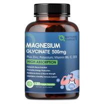 Suplemento Nature Target Glicinato de Magnésio 500 mg 120 cápsulas