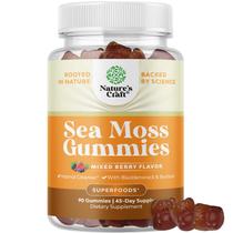 Suplemento Natures Craft Irish Sea Moss Gummies 90 gomas Suplemento Natures Craft Irish Sea Moss Gummies 90 gomas