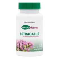 Suplemento NaturesPlus Herbal Actives Astragalus 60 cápsulas Suplemento NaturesPlus Herbal Actives Astragalus 60 cápsulas
