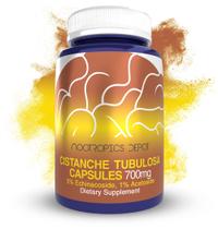 Suplemento Nootropics Depot Cistanche tubulosa em cápsulas 700mg