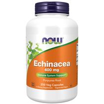 Suplemento NOW Echinacea (raiz de púrpura) 400 mg 250 cápsulas