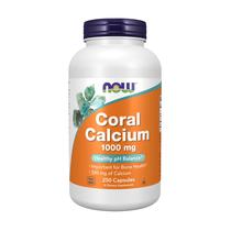 Suplemento NOW Foods Coral Calcium 1000mg - 250 Cápsulas Vegetais