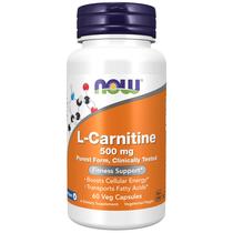 Suplemento NOW Foods L-Carnitina 500mg - 60 Cápsulas - Suporte Fitness