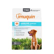 Suplemento Nutramax Imuquin Immune Health para cães 30 pacotes Suplemento Nutramax Imuquin Immune Health para cães 30 pacotes