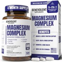 Suplemento Nutritivo Benevolente Citrato de Magnésio 500mg
