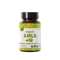 Suplemento ORGANIC SPREE Amla 120 comprimidos com vitamina C Suplemento ORGANIC SPREE Amla 120 comprimidos com vitamina C