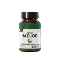 Suplemento ORGANIC SPREE Hadjod 120 comprimidos USDA Organic Suplemento ORGANIC SPREE Hadjod 120 comprimidos USDA Organic