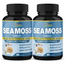 Suplemento orgânico Cadane Irish Sea Moss Capsules x120 Suplemento orgânico Cadane Irish Sea Moss Capsules x120