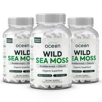 Suplemento Organics Ocean Wild Sea Moss 3 frascos Suplemento Organics Ocean Wild Sea Moss 3 frascos