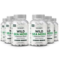 Suplemento Organics Ocean Wild Sea Moss Orgânico - 6 Garrafas