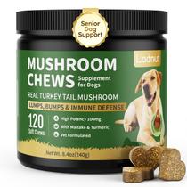Suplemento para cães Ladnut Turkey Tail Mushroom em petiscos macios 120 unidades Suplemento para cães Ladnut Turkey Tail Mushroom em petiscos macios 120 unidades