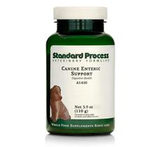Suplemento para cães Standard Process Canine Enteric Support 110g