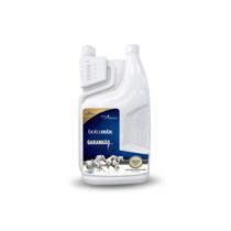 Suplemento para Cavalos Botumix Garanhão - 1.5 lt