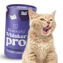 Suplemento Para Gatos Que Reduz a Queda Do Pelo